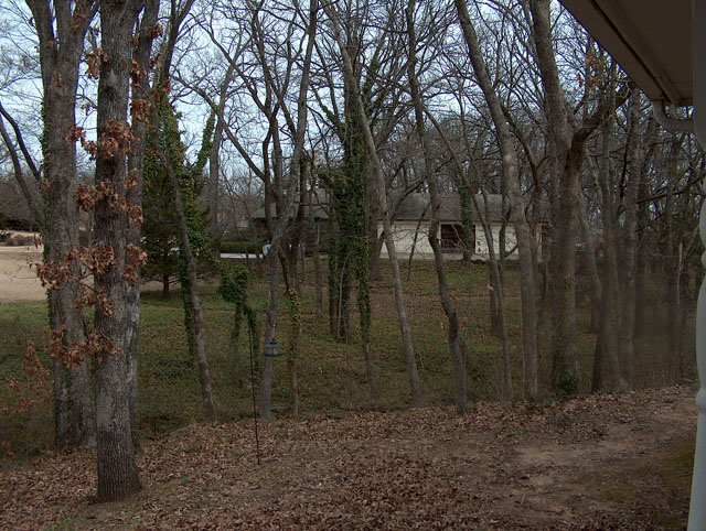 New House 030