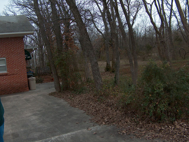 New House 065
