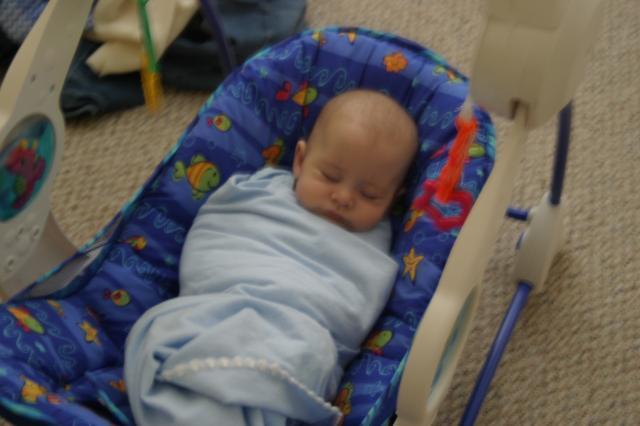 Morning naptime!