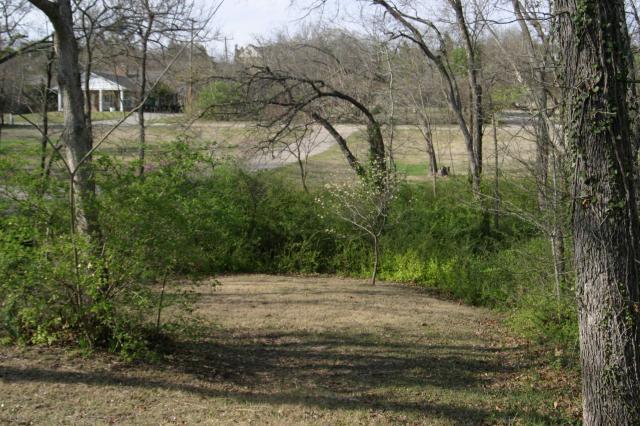 Our front yard