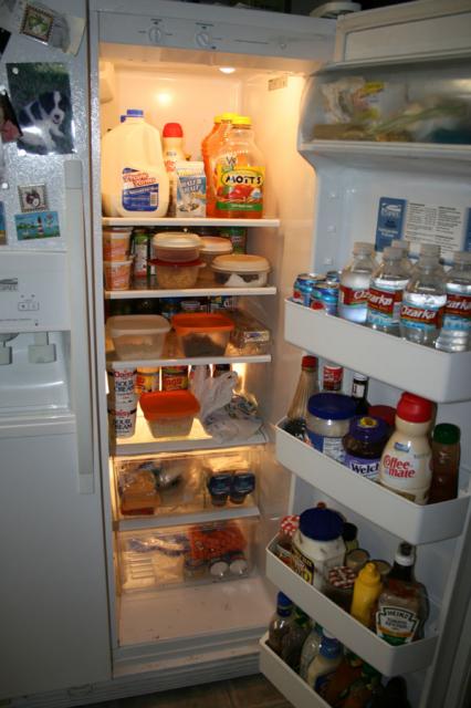 Got the groceries unpacked