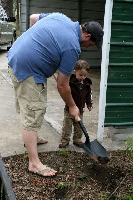 Digging with Daddy