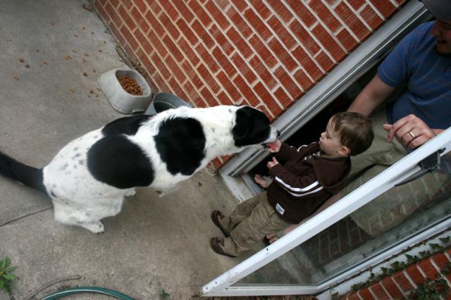 Good puppy!