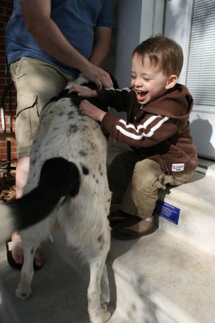 Tyler loves Eddie, and Eddie loves getting petted