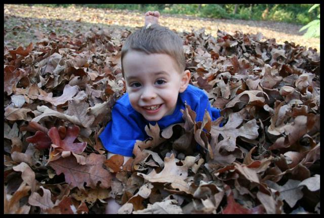 Pic of the Week ~ 11/16/08 (Leaf pile!)