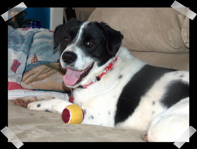 Pic of the Week ~ 2/6/05 (Eddie Lounging Around)
