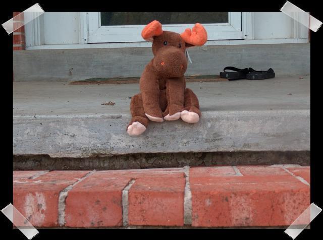 Pic of the Week ~ 4/24/05 (Lumpy on the Porch)