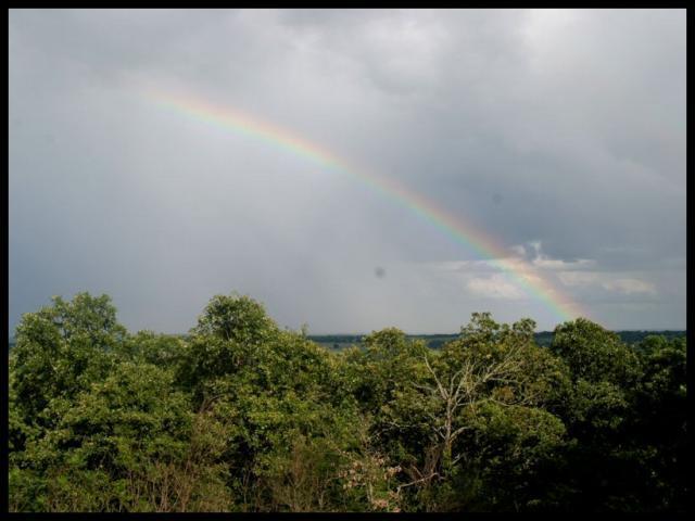 Pic of the Week ~ 7/1/07 (Rain, Rain, Go Away!)