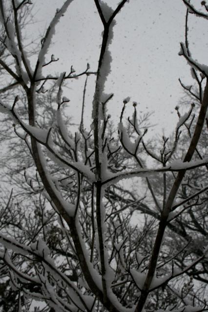 Still coming down