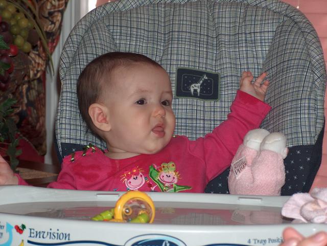 Where's my Turkey?