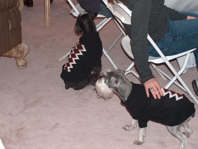 Kyle & Jen's "Kids" in their Sweaters