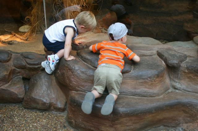 Rock climbing