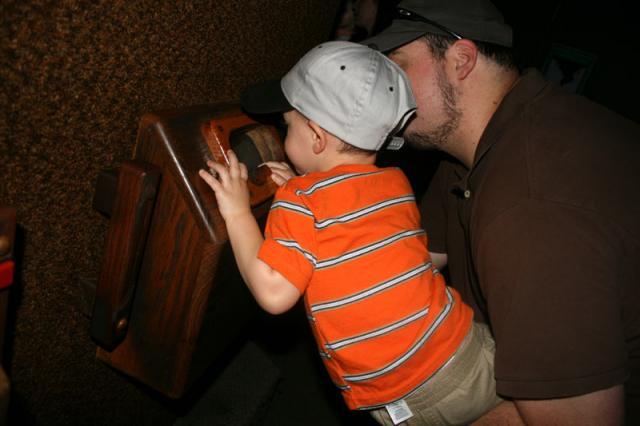 Checking out some bugs