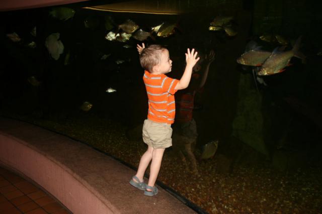 Fish!