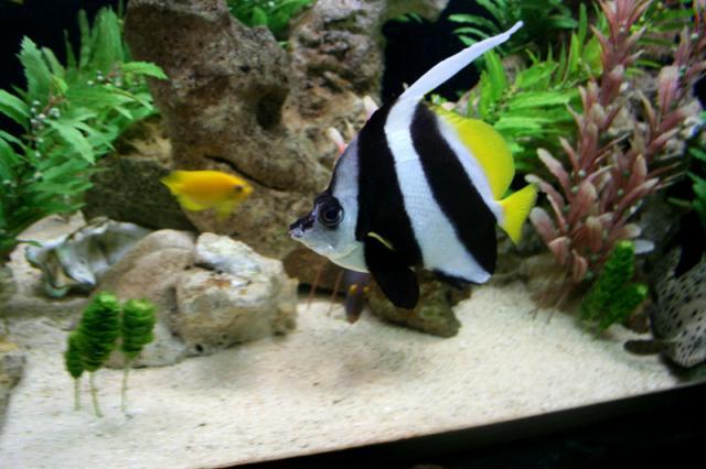 Hello Gill!