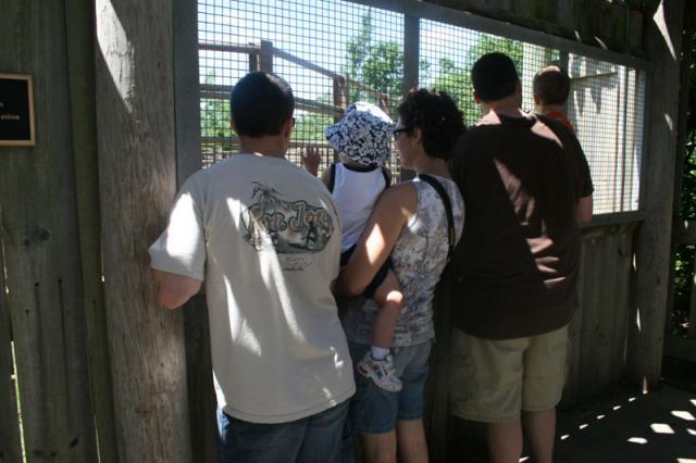 Hello elephants!